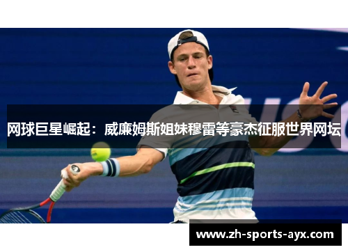 网球巨星崛起:威廉姆斯姐妹穆雷等豪杰征服世界网坛 网球巨星崛起:威廉姆斯姐妹穆雷等豪杰征服世界网坛