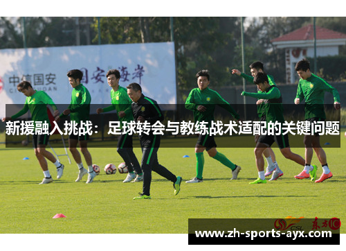 新援融入挑战：足球转会与教练战术适配的关键问题